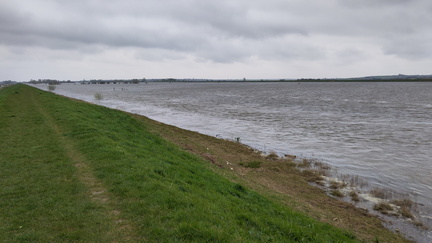 Ouse Washes