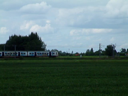Train