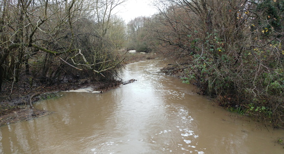 Brook