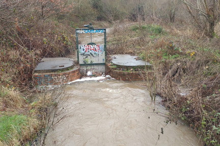 Sluice