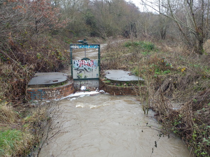 Sluice