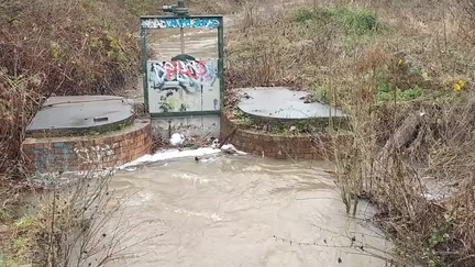 Sluice