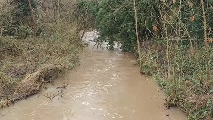 Stream