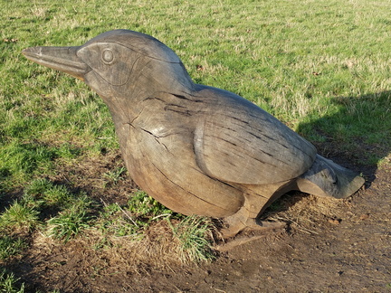 Bird