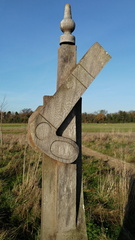 Signal