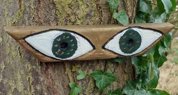 Eyes