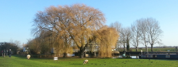 Bottisham Lock