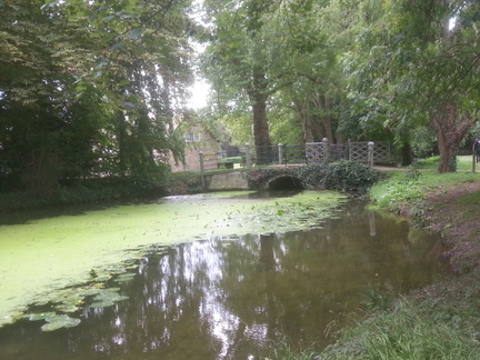 Bridge