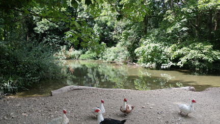 River
