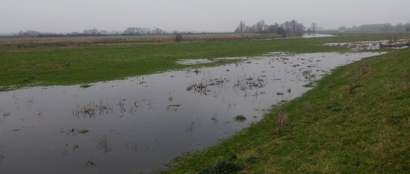 Flooding