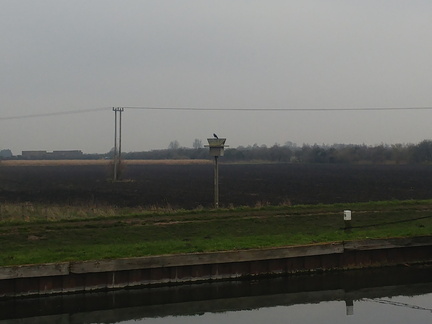 Nesting box