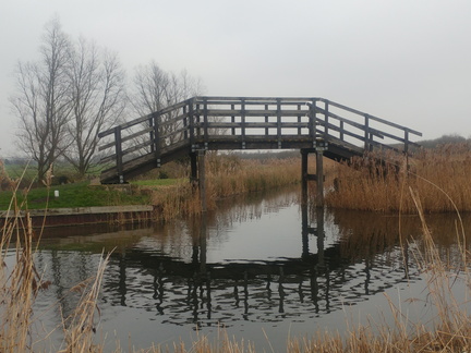Bridge