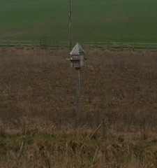 Nesting box