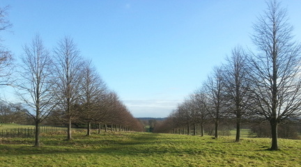 Avenue