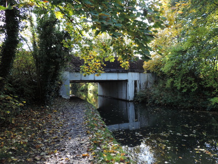 Canal