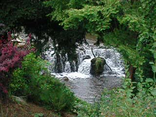 Rapids
