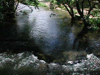 Up the stream