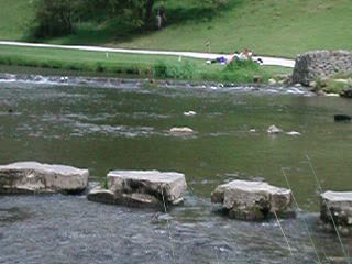 Duck and stones