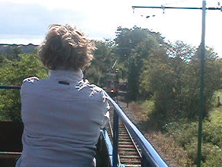 Tram passing