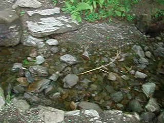 Stream under bridge
