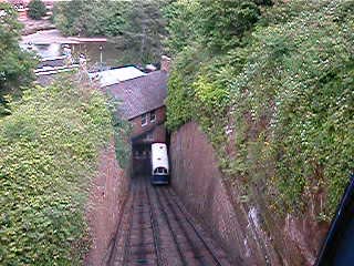 2-LookingDown