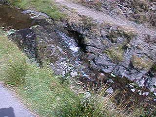 Stream