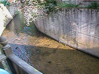 Stream